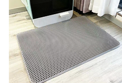 Double-Layer Cat Litter Mat